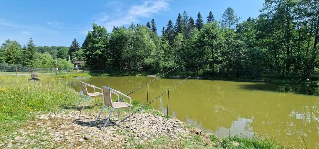 Hotel Poiana Bucovat Gura Humorului Zewnętrze zdjęcie